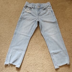 Anerican Eagle Curvy Straight Distressed Jean